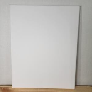Unbranded Stretched Canvas 11in x 14in - NEW